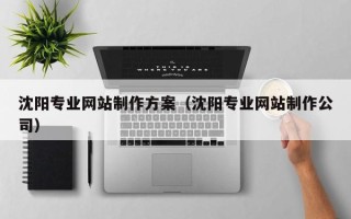 磁县沈阳专业网站制作方案（沈阳专业网站制作公司）